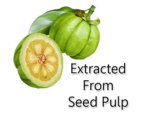 Kernel Spices Garcinia Extract (Kudampuli Sathu/Brindleberry/Gorak) Concentrated 100g - Image 3