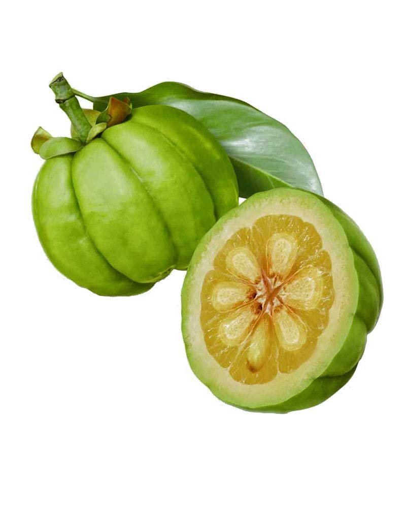 Kernel Spices Garcinia Cambogia/Kudampuli/Brindleberry/Goraka Wayanad Kerala 250g - Image 2