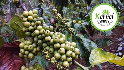 Kernel Spices Pure Roasted Coffee Beans Wayanad Kerala Packet 200g - Image 3